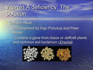Vitamin A deficiency: TheVitamin A deficiency: The
SolutionSolution
• Golden RiceGolden Rice
– Development by Ingo Potrykus and PeterDevelopment by Ingo Potrykus and Peter
BeyerBeyer
– Contains a gene from maize or daffodil plantsContains a gene from maize or daffodil plants
and common soil bacterium (and common soil bacterium (ErwiniaErwinia))
 