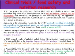 Clinical trials / food safety and
nutrition research
• IRRI also assures the public that “Golden Rice” will be available to farmers and
consumers only after it has been determined to be safe for humans, animals, and the
environment and authorized for propagation and consumption by the appropriate
regulatory authorities. Therefore, “Golden Rice”, if and when released, will be deemed
to be as safe as other rice.
• According to the information reported by the WHO, genetically modified products that
are currently on the international market have all passed risk assessments conducted by
national authorities." These assessments found no risk to human health”.
• The Food Allergy Resource and Research Program of the University of Nebraska (2006)
that showed “the proteins from the new genes in Golden Rice did not show any
allergenic properties”.
• In 2009, research results of a clinical trial of Golden Rice with adult volunteers from the
USA were published in the American Journal of Clinical Nutrition. It concluded that "β-
carotene derived from Golden Rice is effectively converted to vitamin A in humans is a
safe".
• In August 2012, Tufts University and others published new research on Golden Rice in
the American Journal of Clinical Nutrition showing that “the β-carotene produced by
Golden Rice is as good as β- carotene in oil at providing vitamin A to children”.
 