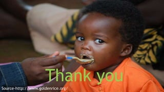 Thank you
Source-http://www.goldenrice.org/
 