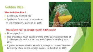Golden Rice
What is Golden Rice ?
 Genetically modified rice
 Synthesize β-carotene (provitamin A)
in the endosperm. (paine et al. 2005)
How golden rice- to combat vitamin A deficiency?
 Rice- staple food.
 Rice provides as much as 80% or more of the daily caloric intake of
3 billion people, which is half the world’s population (Tang et al.
2012)
 If grain can be enriched in Vitamin A, it helps to combat Vitamin A
Deficiency where rice is a major staples. (Al-Babili et al. 2005)
Source-https://www.thedailystar.net/city/wait-almost-
over-beta-carotene-rich-golden-rice-release-in-
bangladesh-1531684
 