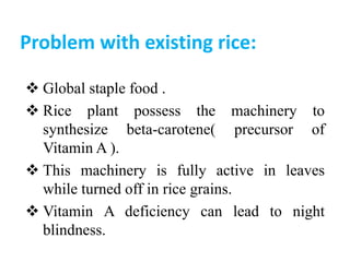 Problem with existing rice:
 Global staple food .
 Rice plant possess the machinery to
synthesize beta-carotene( precursor of
Vitamin A ).
 This machinery is fully active in leaves
while turned off in rice grains.
 Vitamin A deficiency can lead to night
blindness.
 