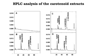 HPLC analysis of the carotenoid extracts
 