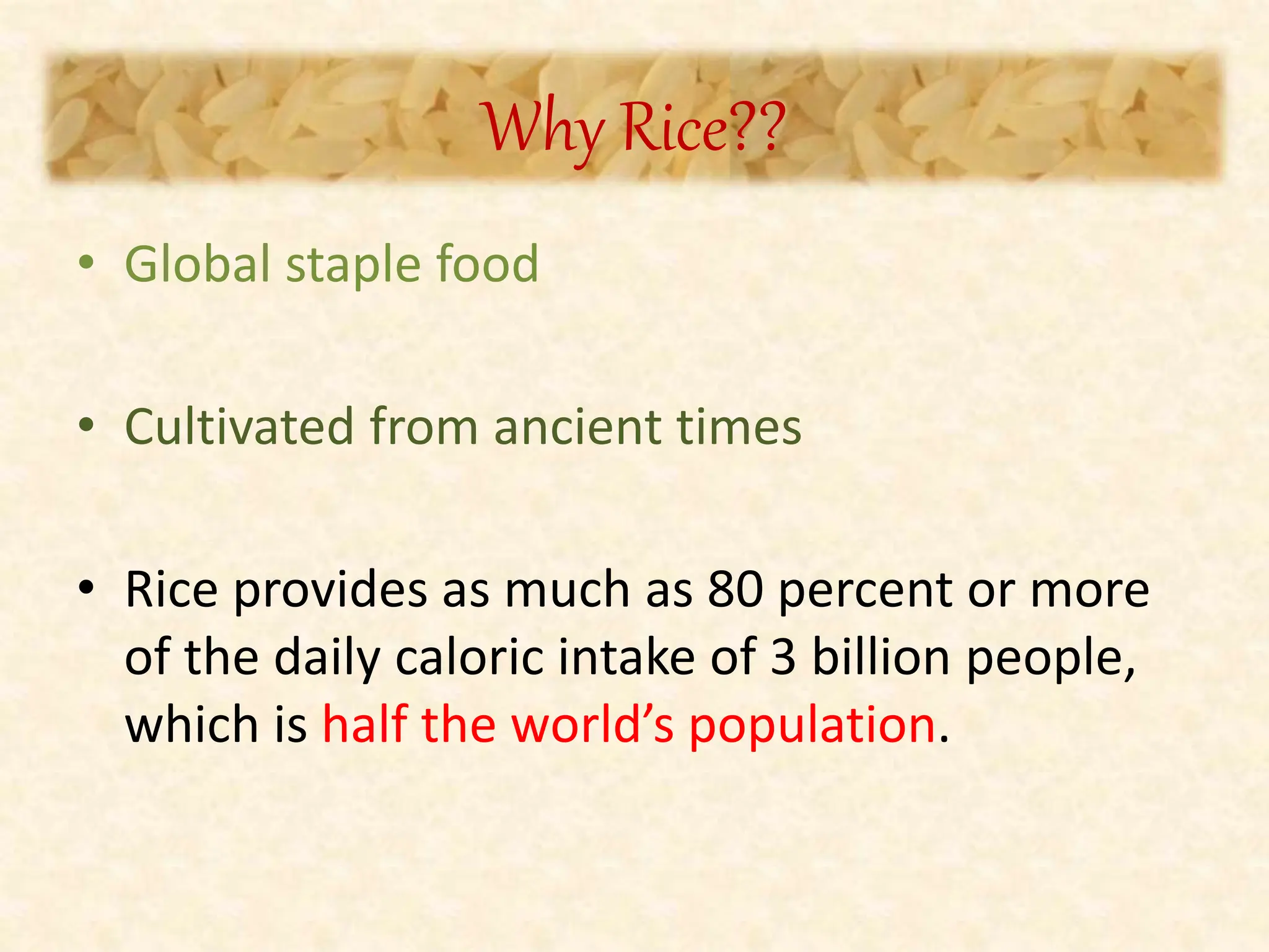 1 Golden Rice: Shining a Light on Vitamin A Deficiency | PPTX
