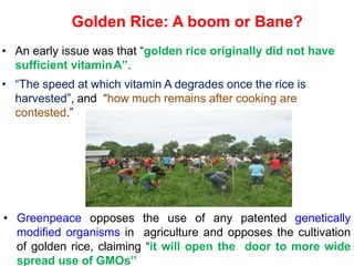 Golden Rice Problem goldenrice - Copy.pptx