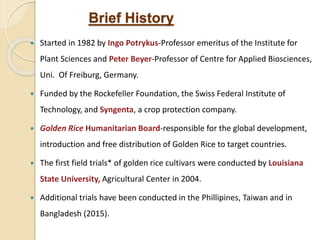 Brief History
 Started in 1982 by Ingo Potrykus-Professor emeritus of the Institute for
Plant Sciences and Peter Beyer-Professor of Centre for Applied Biosciences,
Uni. Of Freiburg, Germany.
 Funded by the Rockefeller Foundation, the Swiss Federal Institute of
Technology, and Syngenta, a crop protection company.
 Golden Rice Humanitarian Board-responsible for the global development,
introduction and free distribution of Golden Rice to target countries.
 The first field trials* of golden rice cultivars were conducted by Louisiana
State University, Agricultural Center in 2004.
 Additional trials have been conducted in the Phillipines, Taiwan and in
Bangladesh (2015).
 