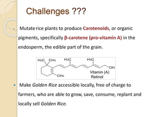 Challenges ???
 Mutaterice plants to produce Carotenoids, or organic
pigments, specifically β-carotene (pro-vitamin A) in the
endosperm, the edible part of the grain.
 Make Golden Rice accessible locally, free of charge to
farmers, who are able to grow, save, consume, replant and
locally sell Golden Rice.
Vitamin (A)
Retinol
 