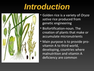 Golden rice by utkarsh | PPT
