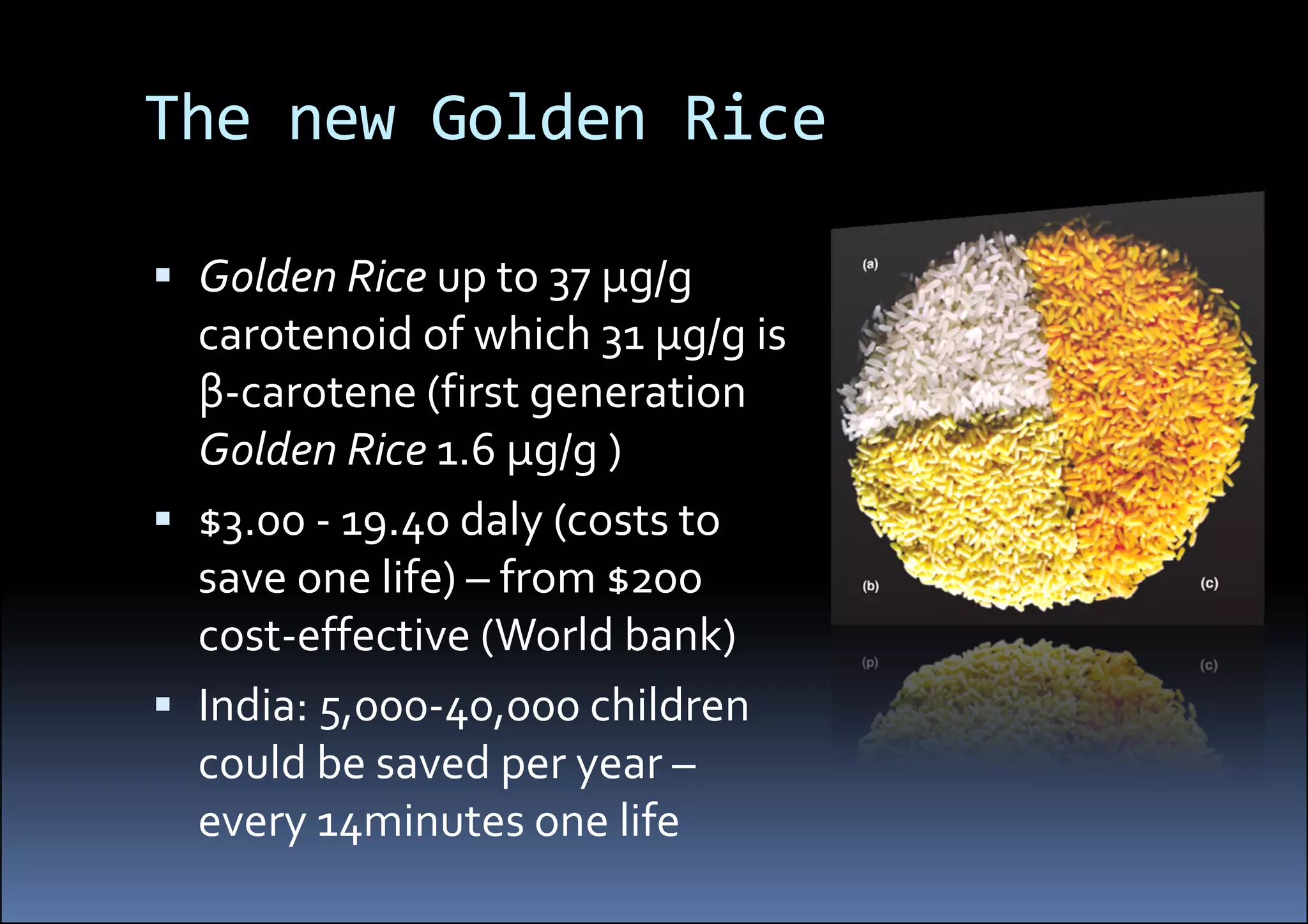 Golden Rice Final – Potential And Outlook | PDF