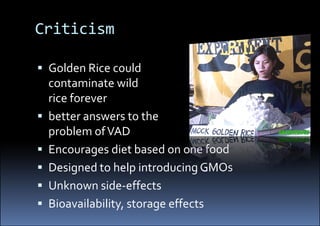 Golden Rice Final – Potential And Outlook | PDF