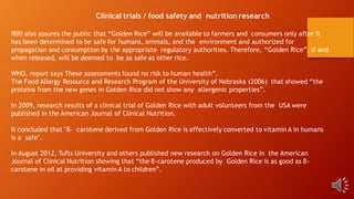 IRRI also assures the public that “Golden Rice” will be available to farmers and consumers only after it
has been determined to be safe for humans, animals, and the environment and authorized for
propagation and consumption by the appropriate regulatory authorities. Therefore, “Golden Rice”, if and
when released, will be deemed to be as safe as other rice.
WHO, report says These assessments found no risk to human health”.
The Food Allergy Resource and Research Program of the University of Nebraska (2006) that showed “the
proteins from the new genes in Golden Rice did not show any allergenic properties”.
In 2009, research results of a clinical trial of Golden Rice with adult volunteers from the USA were
published in the American Journal of Clinical Nutrition.
It concluded that "β- carotene derived from Golden Rice is effectively converted to vitamin A in humans
is a safe".
In August 2012, Tufts University and others published new research on Golden Rice in the American
Journal of Clinical Nutrition showing that “the β-carotene produced by Golden Rice is as good as β-
carotene in oil at providing vitamin A to children”.
Clinical trials / food safety and nutrition research
 
