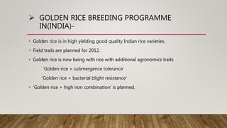 Golden rice technology | PPTX