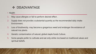 Golden rice technology | PPTX