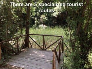 There are 5 specialized tourist routes