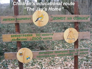 Children’s educational route “The Jay’s Home”