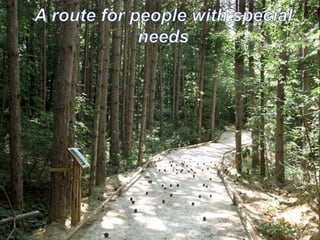 A route for people with special needs
