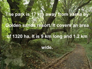 The park is 17 km away from Varna by Golden sands resort. It covers an area of 1320 ha. It is 9 km long and 1.2 km wide.