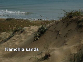 Kamchia sands