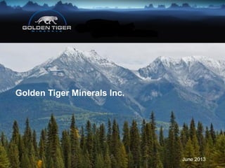 Golden Tiger Minerals Inc.
June 2013
 