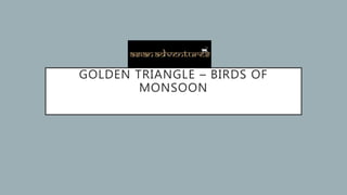 GOLDEN TRIANGLE – BIRDS OF
MONSOON
 