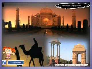 Golden Triangle Tours




011-49814981
 