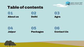 Table of contents
About us Delhi
Jaipur Packages
01 02
04 05
Agra
Contact Us
03
06
 