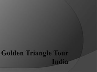 Golden triangle tour india