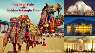 Pushkar Fair 
 with
Golden Triangle Tour
WWW.THETRAVELFORMULA.COM
 