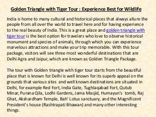 India is home to many cultural and historical places that always allure the
people from all over the world to travel here and for having experience
to the real beauty of India. This is a great place and golden triangle with
tiger tour is the best option for travelers who love to observe historical
monument and species of animals, through which you can experience
marvelous attractions and make your trip memorable. With this tour
package, visitors will see three most wonderful destinations that are
Delhi Agra and Jaipur, which are known as Golden Triangle Package.
The tour with Golden triangle with tiger tour starts from the beautiful
place that is known for Delhi is well known for its superb appeal on the
grounds that various sites and well known destinations are situated in
Delhi, for example Red Fort, India Gate, Tughlaqabad Fort, Qutub
Minar, Purana Qila, Lodhi Gardens, Jama Masjid, Humayun's tomb, Raj
Ghat, Akshardham Temple, Bah' Lotus sanctuary, and the Magnificent
President's house (Rashtrapati Bhawan) and many other interesting
things.
Golden Triangle with Tiger Tour : Experience Best for Wildlife
 