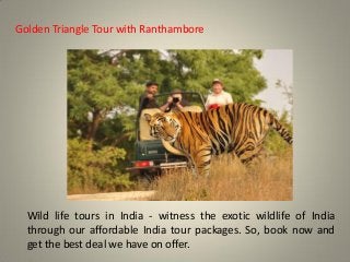 Wild life tours in India - witness the exotic wildlife of India
through our affordable India tour packages. So, book now and
get the best deal we have on offer.
Golden Triangle Tour with Ranthambore
 