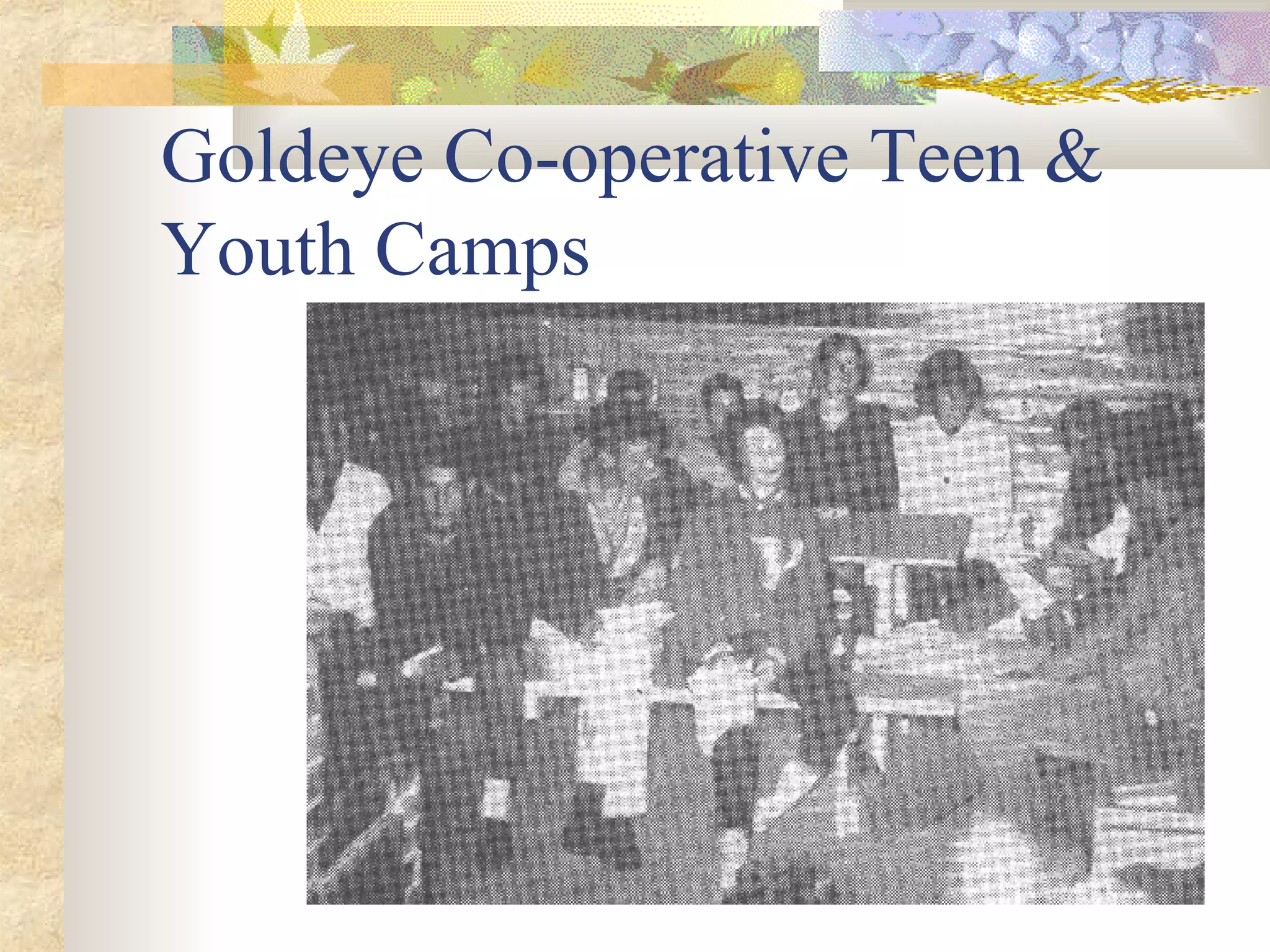 Goldeye Co-operative Teen & Youth Camps 