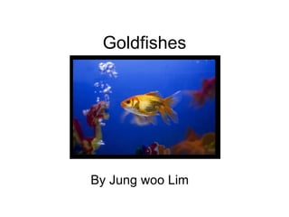 Goldfishes By Jung woo Lim 