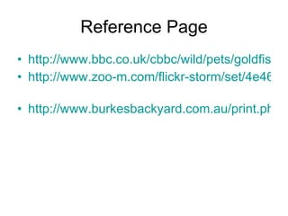 Reference Page http://www.bbc.co.uk/cbbc/wild/pets/goldfish.shtml http://www.zoo-m.com/flickr-storm/set/4e46f83597f2d7dfc4397e0cfcd972e572855c6f   http://www.burkesbackyard.com.au/print.php?id=658 