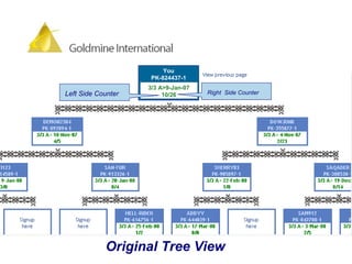 Original Tree View  Right  Side Counter   Left Side Counter   3/3 A>9-Jan-07 10/26 You PK-824437-1 