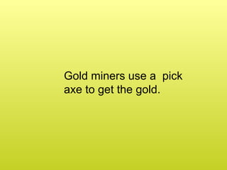 Gold miners use a pick axe to get the gold.
