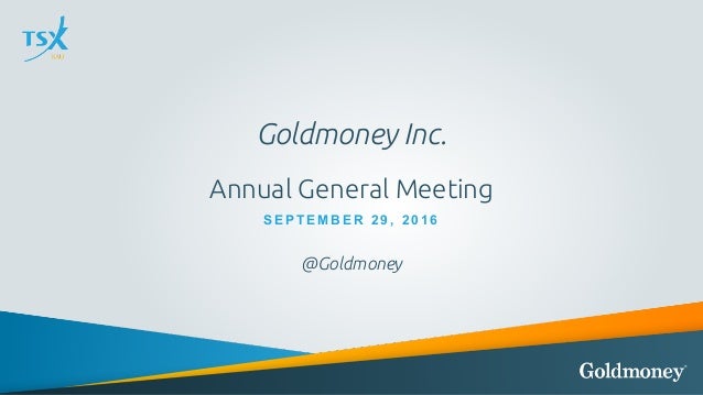 Goldmoney Inc Goldmoney Inc