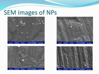 SEM images of NPs
 