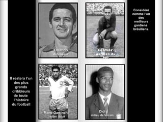 Considéré
                                                        comme l’un
                                                            des
                                                         meilleurs
                                                         gardiens
                                                         brésiliens.




                        Orlando          Gilmar
                       défenseur       gardien du
                                          but




Il restera l’un
    des plus
      grands
  dribbleurs
    de toute
    l’histoire
  du football

                  Mané Garrincha          Didi
                     ailier droit   milieu de terrain
 