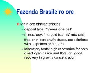 Fazenda Brasileiro ore
 Main ore characteristics
 deposit type: “greenstone belt”
 mineralogy: fine gold (d95=37 microns),
free or in borders/fractures, associations
with sulphides and quartz
 laboratory tests: high recoveries for both
direct cyanidation and flotation, good
recovery in gravity concentration
 