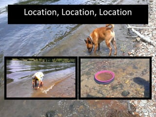 Location, Location, Location
 