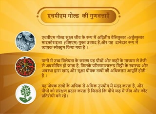 एचपीएम गो की गुणव ाएँ
एचपीएम गो सू जीव के प म अि तीय वेिसकु लर -अबु ु लर
माइकोराइजा (वीएएम) यु उ ाद है,और यह दानेदार प म
ा...