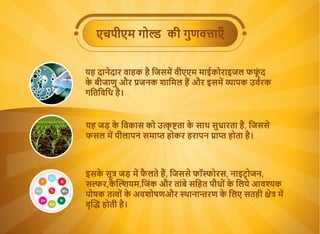 N
Ca
Zn
Fe Mn
B
Cu
P
एचपीएम गो की गुणव ाएँ
यह दानेदार वाहक है िजसम वीएएम माईकोराइजल फफूं द
के बीजाणु और जनक शािमल ह और इसम...