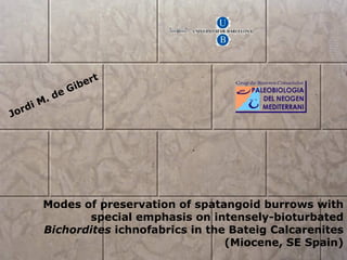 Jordi M. de Gibert Modes of preservation of spatangoid burrows with special emphasis on intensely-bioturbated  Bichordites  ichnofabrics in the Bateig Calcarenites (Miocene, SE Spain) 