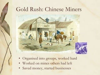 Gold Rush Australia Chinese Miners | PPT