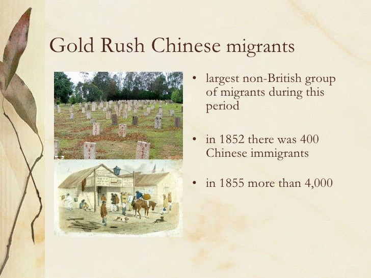Gold Rush Australia Chinese Miners