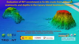 Evaluation of REY enrichment in Fe-Mn crusts from different
seamounts and depths in the Canary Island Seamount Province
Egidio Marino, Francisco Javier González, Teresa Medialdea, Luis Somoza,
Ana Belén Lobato, Jesús Reyes and Eva Bellido
ATLANTIS
 