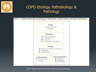 COPD Etiology, Pathobiology &
Pathology
© 2017 Global Initiative for Chronic Obstructive Lung Disease
 