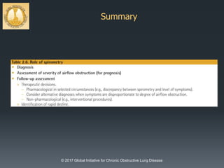 Summary
© 2017 Global Initiative for Chronic Obstructive Lung Disease
 
