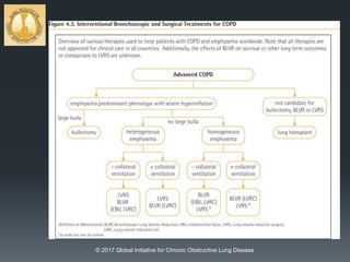 © 2017 Global Initiative for Chronic Obstructive Lung Disease
 