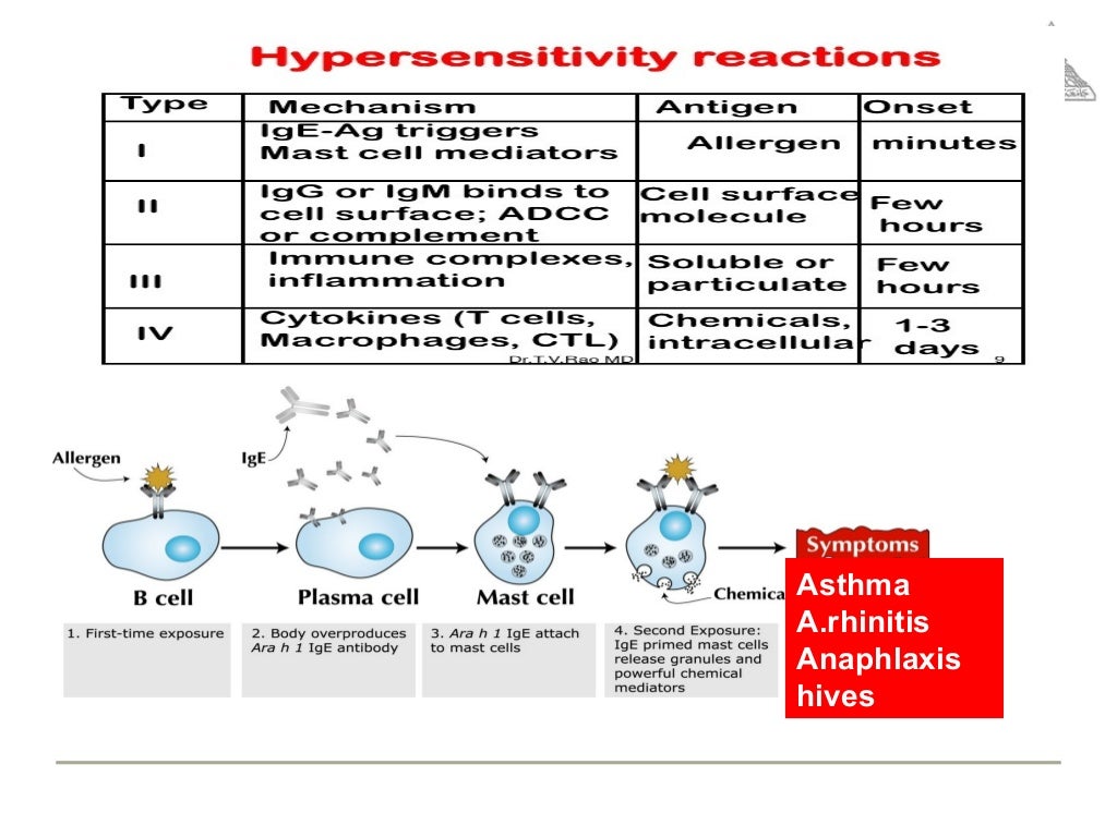 Gold standards in allergy diagnosis