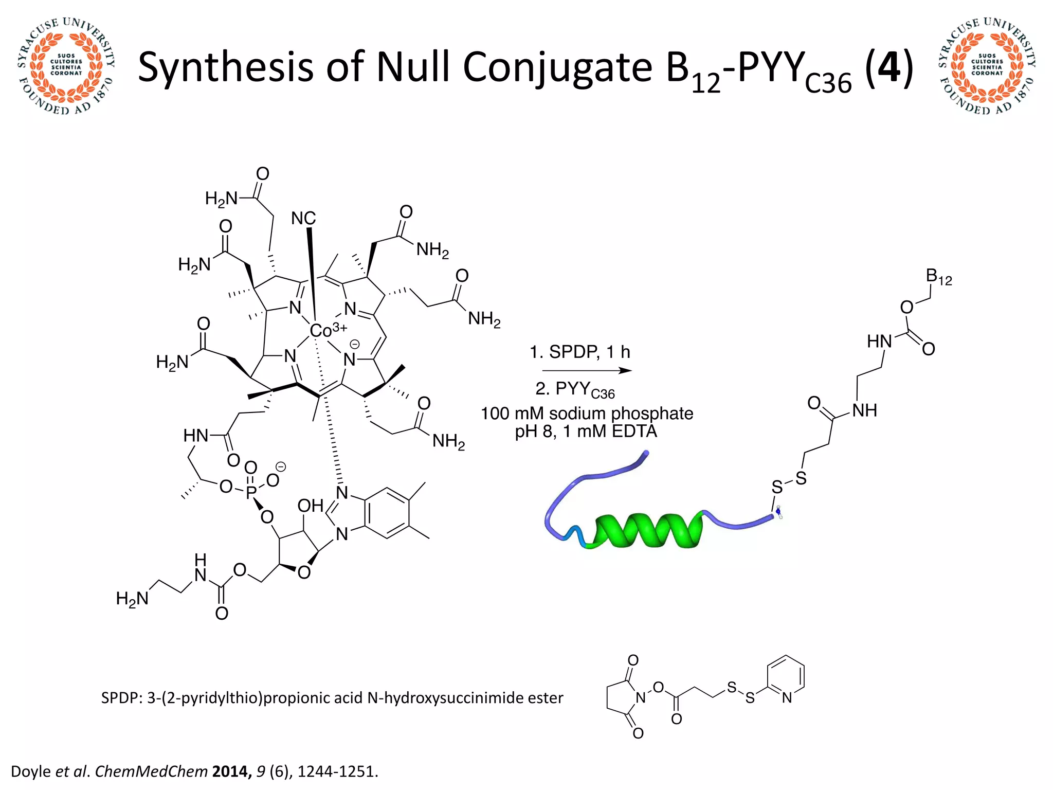 Synthesis of Null Conjugate B12-PYYC36 (4)
SPDP: 3-(2-pyridylthio)propionic acid N-hydroxysuccinimide ester
Doyle et al. ChemMedChem 2014, 9 (6), 1244-1251.
 